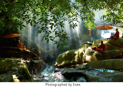 I believe in a path that leads to calm and peace and that your life becomes a manifestation of the choices you make.