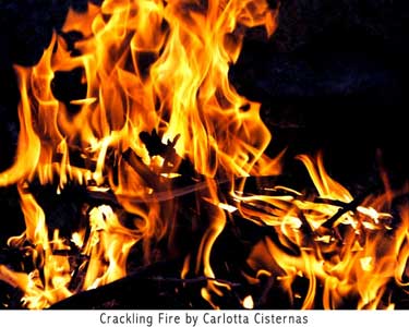 Savour the bliss in the moment of right here right now.