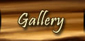 click here to go to the Gallery.