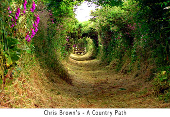 The path you take leads to the victory and fulfilment you desire, sometimes someone helps you see the way more clearly.